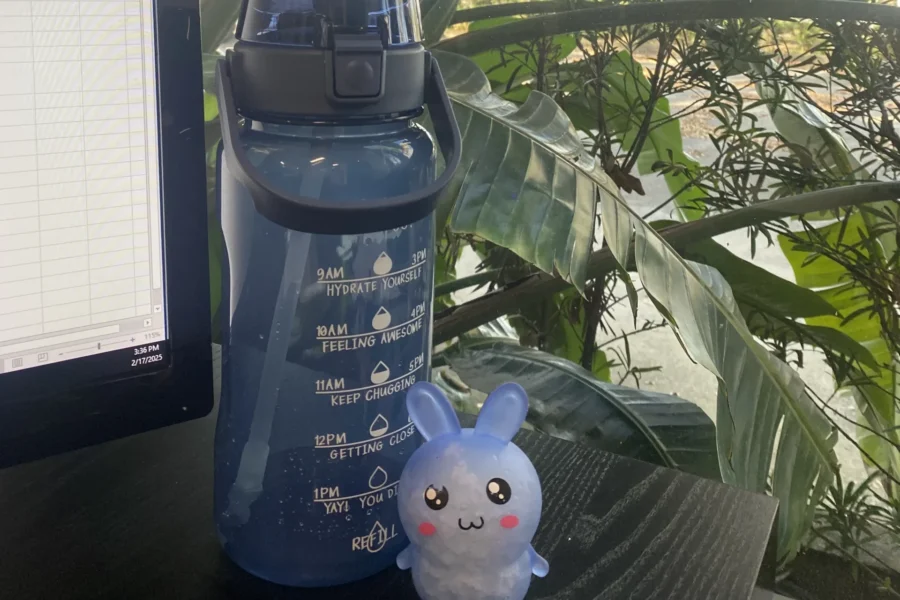 A picture of computer desktop with a water tumbler and stress reliever bunny.